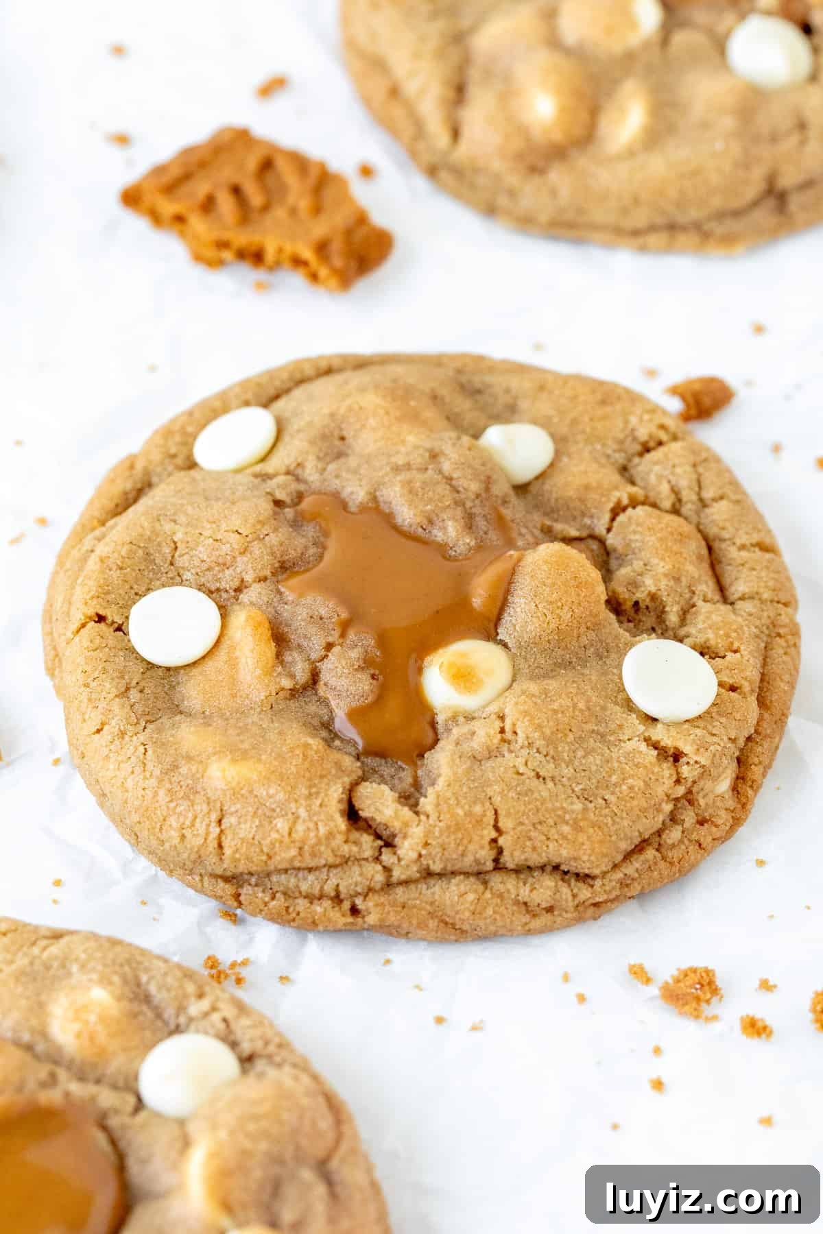 Biscoff Cookies Stuffed with Cookie Butter: Crispy, Gooey Treat 7 Biscoff stuffed cookie oozing with white chocolate chips and cookie butter in the middle