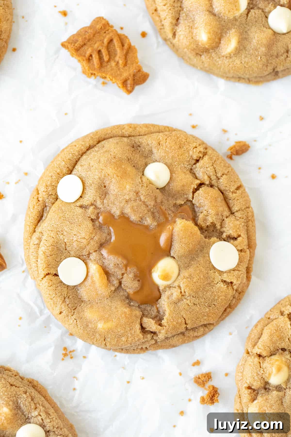 Biscoff Cookies Stuffed with Cookie Butter: Crispy, Gooey Treat 8 Biscoff stuffed cookie with white chocolate chips, from above
