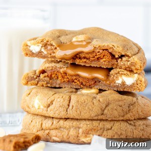 Biscoff Cookies Stuffed with Cookie Butter: Crispy, Gooey Treat 9 Stack of Biscoff cookies, with top cookie broken in half.