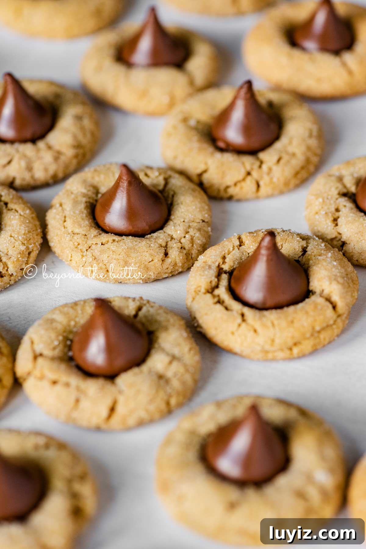 Classic Peanut Butter Blossom Cookies Recipe 3 Angled image of peanut butter blossoms on parchment paper lined baking sheet