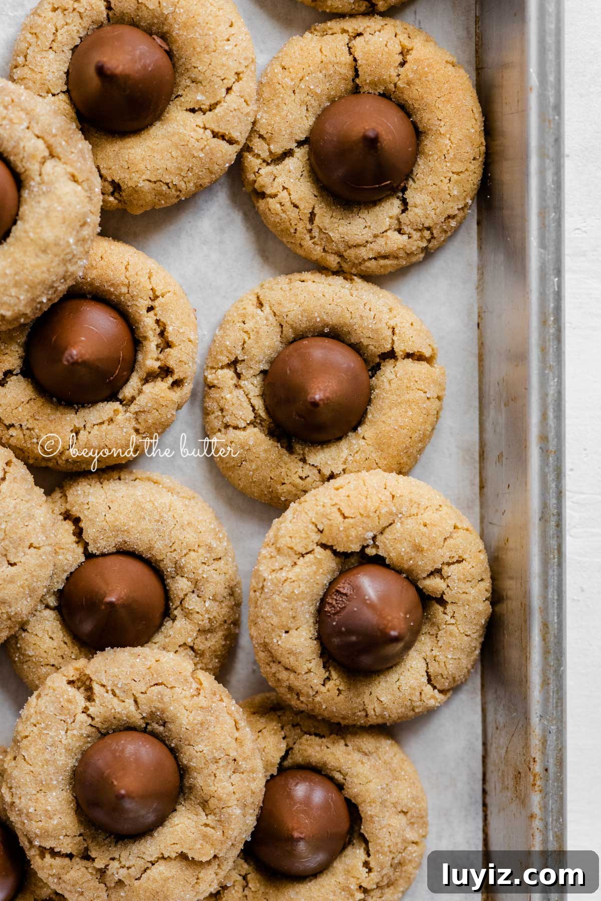 Classic Peanut Butter Blossom Cookies Recipe 4 Overhead image of peanut butter blossoms
