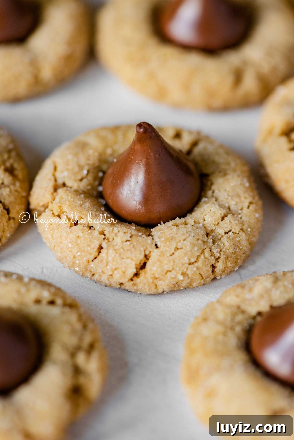 Classic Peanut Butter Blossom Cookies Recipe 5 Angled closeup image of peanut butter blossoms on parchment paper lined baking sheet