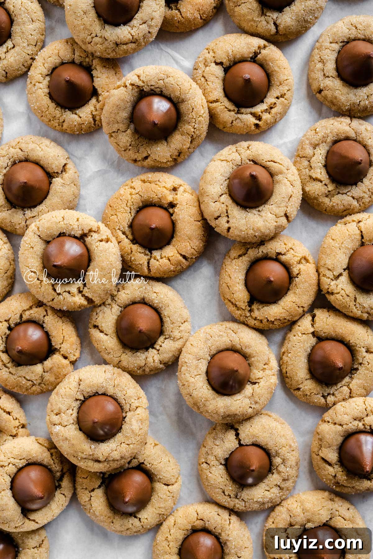 Classic Peanut Butter Blossom Cookies Recipe 8 Classic peanut butter blossoms on a parchment paper lined baking sheet