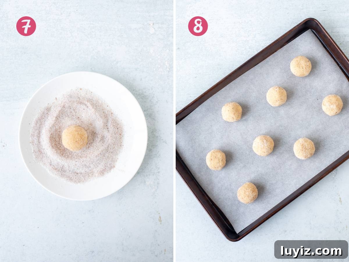 Eggnog Snickerdoodle Cookies: Festive Holiday Cookie Recipe 8 Eggnog snickerdoodle cookie dough ball being rolled in sugar and nutmeg, and lined cookie sheet with unbaked eggnog snickerdoodle balls.