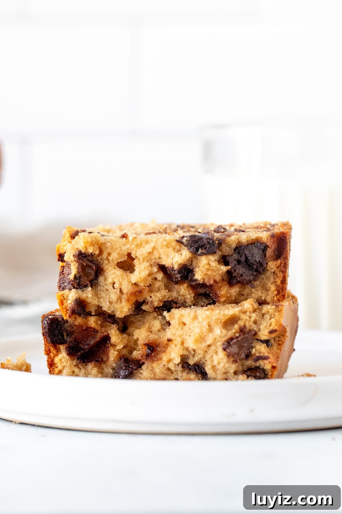 Peanut Butter Chocolate Chip Quick Bread Recipe 7 img 1869 6