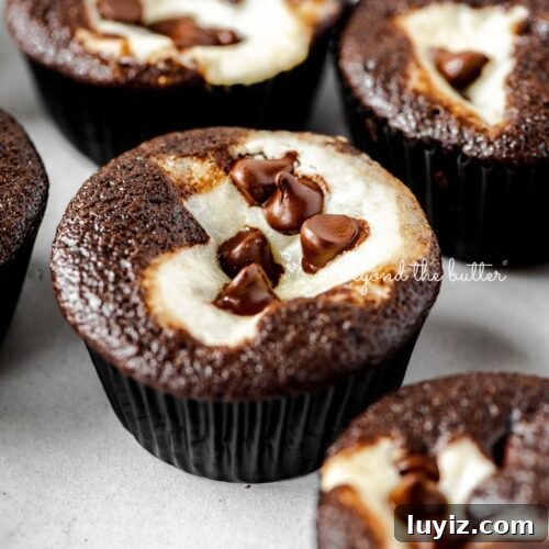 Cream cheese filled chocolate cupcakes topped with semi-sweet chocolate chips randomly placed on a light gray background.