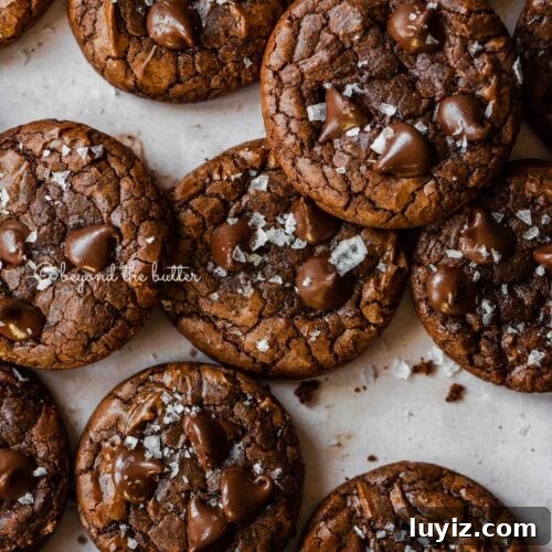 Salted brownie cookies on abstract light brown background.