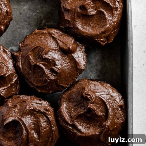 Overhead image of small batch chocolate cupcakes in vintage metal baking tin.