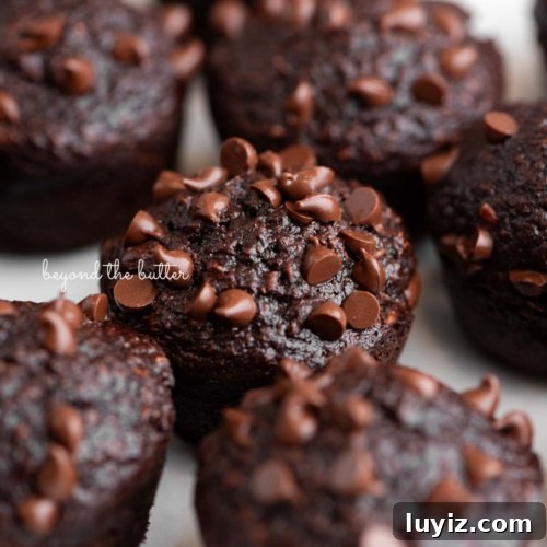 Mini chocolate banana muffins topped with mini chocolate chips placed close together on a white background.