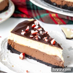 Peppermint Bark Cheesecake Recipe with Chocolate Crust and Candy Cane Topping 10 Slice of peppermint bark cheesecake on a white plate.