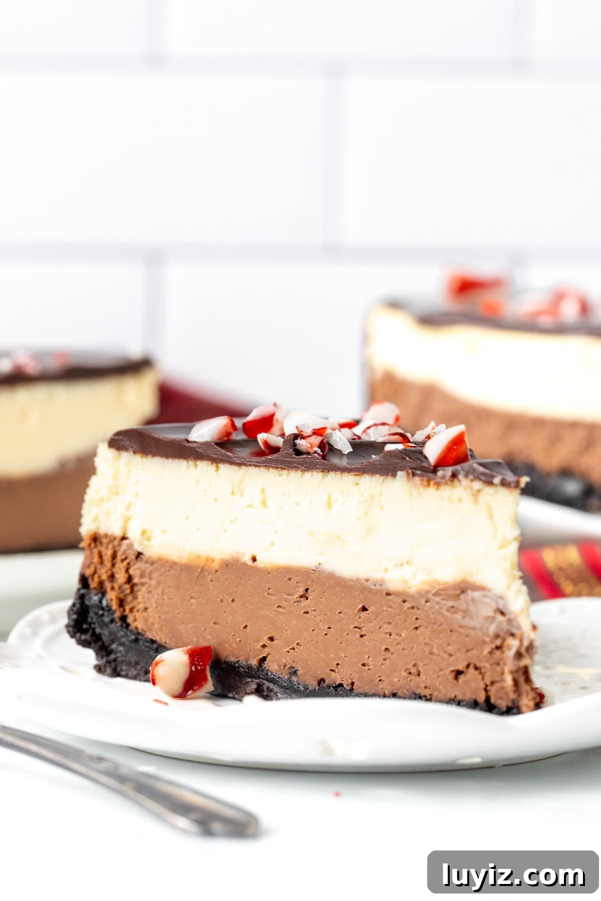 Peppermint Bark Cheesecake Recipe with Chocolate Crust and Candy Cane Topping 3 Slice of layered peppermint bark cheesecake topped with chocolate and candy canes on a plate