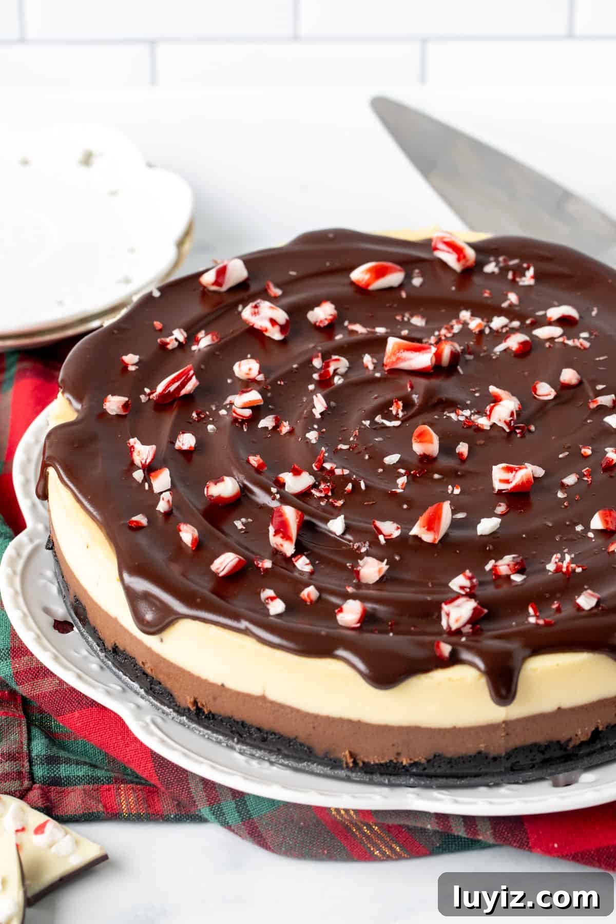 Peppermint Bark Cheesecake Recipe with Chocolate Crust and Candy Cane Topping 8 9-inch round layered chocolate peppermint cheesecake with chocolate topping and crushed candy canes on top