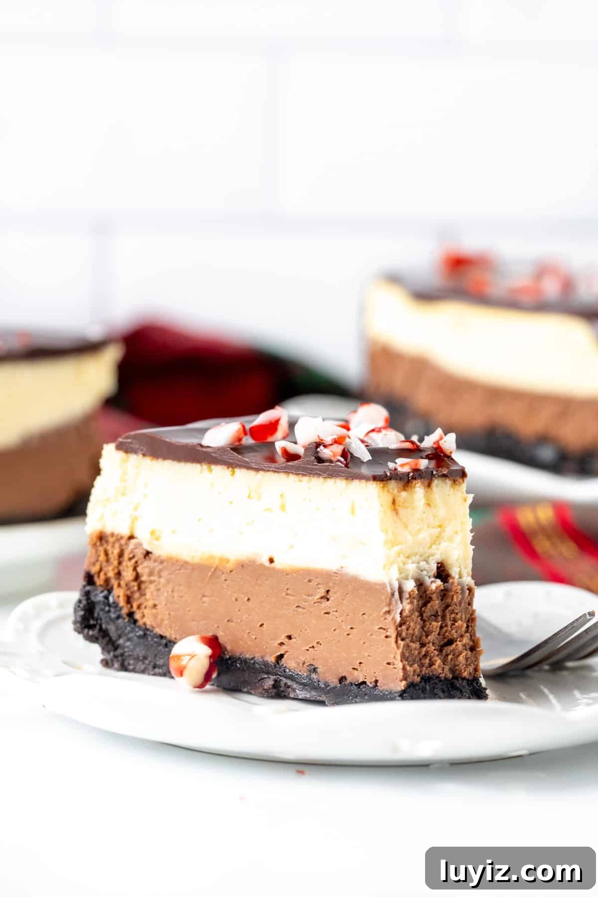 Peppermint Bark Cheesecake Recipe with Chocolate Crust and Candy Cane Topping 9 Slice of peppermint bark cheesecake with chocolate topping with a bite taken out