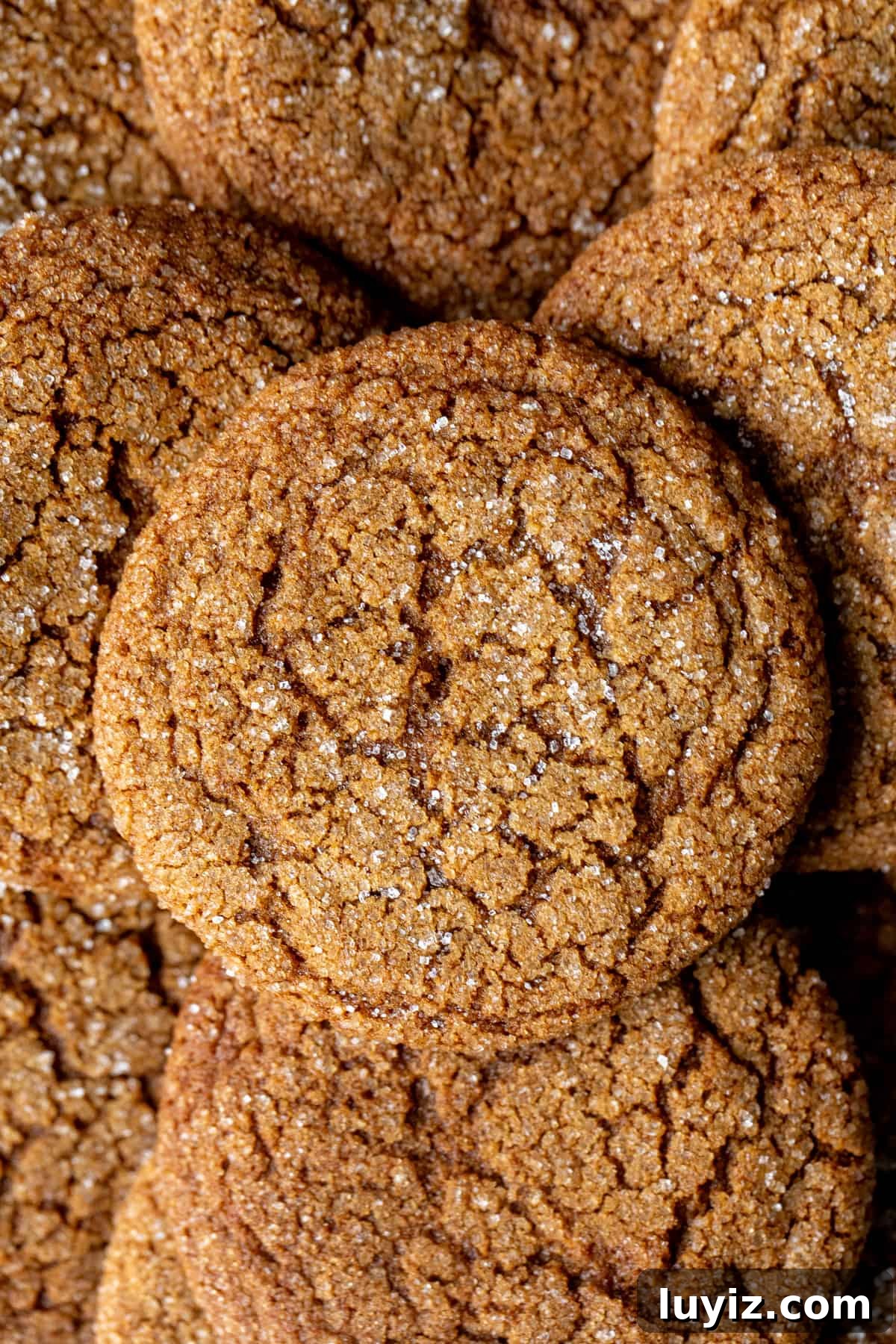 Crisp Gingersnap Cookies: A Classic Recipe for Snappy Texture 2 Gingersnap cookies with crinkly tops and rolled in sugar, from above
