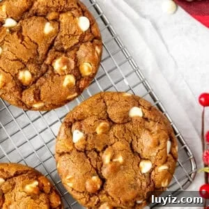 Bakery-Style Gingerbread Cookies with White Chocolate Chips 11 Bakery style white chocolate gingerbread cookies, stacked one on top of another