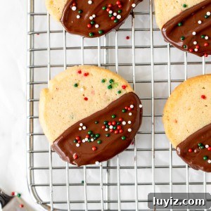 Sprinkle slice and bake cookies half dipped in chocolate on a wire rack
