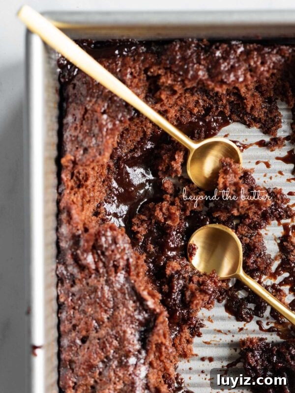 Decadent Chocolate Ricotta Cake Recipe for Moist, Fluffy Results 13 Small gold spoons resting in a baking tin of hot fudge pudding cake.
