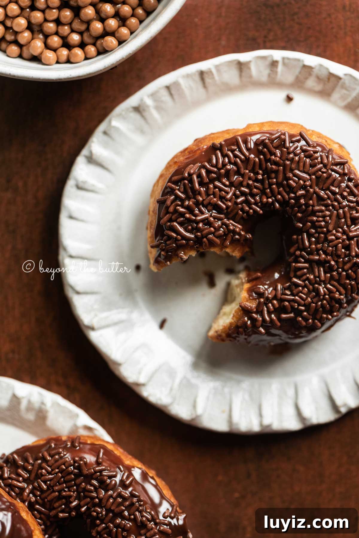 Homemade Donuts from Scratch: Classic Recipe for Soft, Fluffy Donuts 8 Donuts on dessert plates with a bite taken out of the top right donut | All Images © Beyond the Butter™