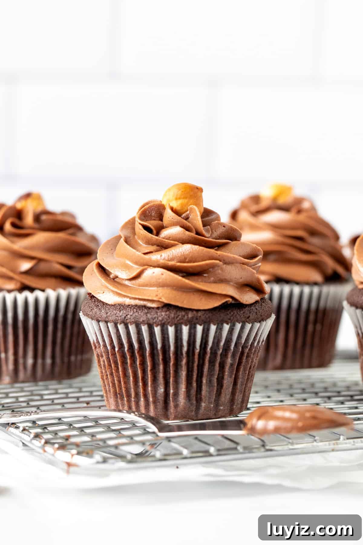 Smooth Nutella Frosting Recipe for Cakes and Cupcakes 4 Chocolate cupcakes piped with creamy Nutella buttercream frosting