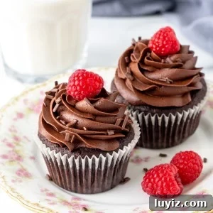 Decadent Chocolate Cupcakes Recipe for Two 7 Two chocolate cupcakes on a plate with glass of milk