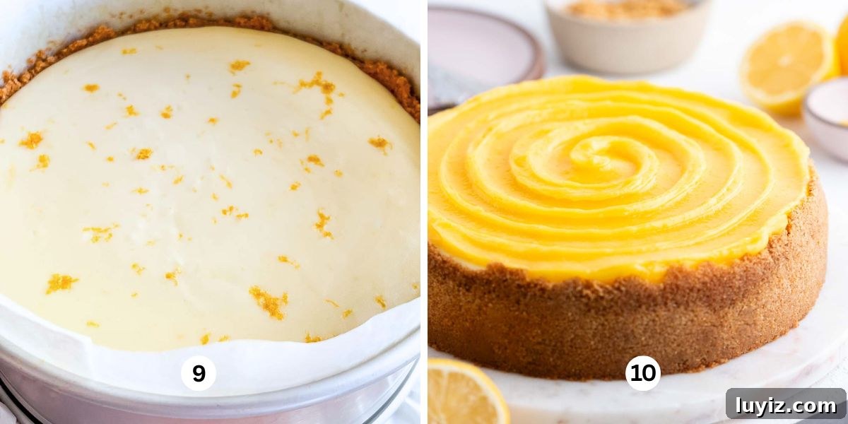 Creamy Lemon Cheesecake Recipe with Zesty Citrus Glaze 12 Lemon cheesecake cooling to room temperature on a white background then topping with lemon curd surrounded by lemons.