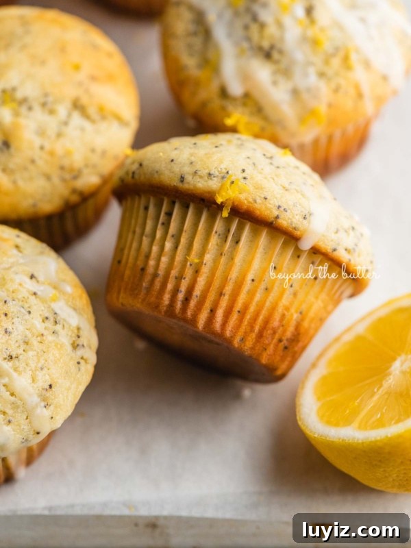 Creamy Lemon Cheesecake Recipe with Zesty Citrus Glaze 16 Randomly placed lemon poppy seed muffins on a parchment paper-lined baking sheet with half of a lemon.
