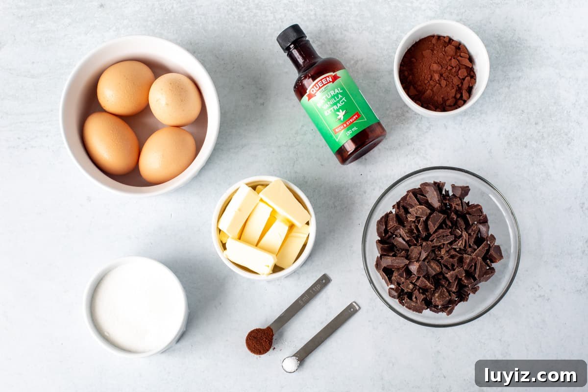 Decadent Flourless Chocolate Cake Recipe (Gluten-Free) 3 Ingredients for flourless chocolate cake