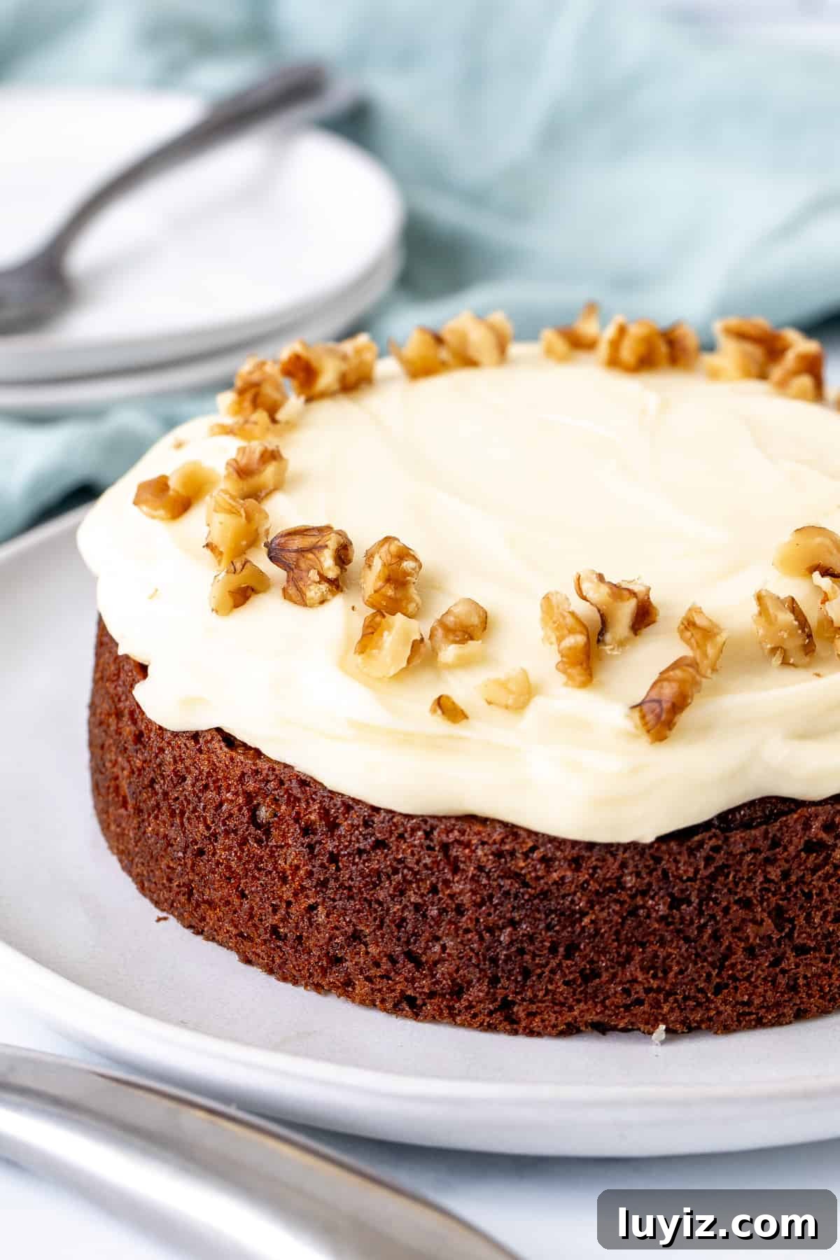 Mini Carrot Cake Recipe: Moist Layered Cupcakes for Any Occasion 7 6-inch round mini carrot cake with cream cheese frosting and walnuts around the edges