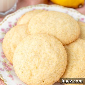Plate of lemon sugar cookies