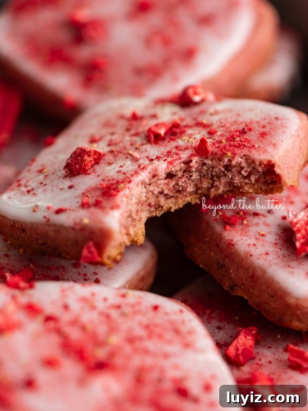 Chocolate Cut-Out Cookies: Classic Cocoa Sugar Cookie Recipe 10 Strawberry shortbread cookies topped with glaze and freeze-dried strawberry bits