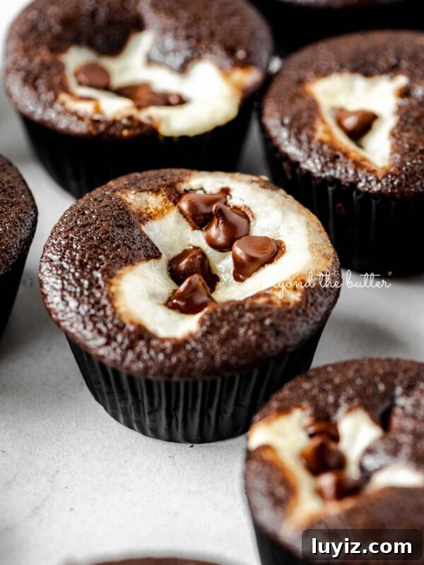 Decadent Chocolate Brownie Ice Cream Recipe & Serving Tips 12 Cream cheese filled chocolate cupcakes topped with semi-sweet chocolate chips randomly placed on a light gray background.