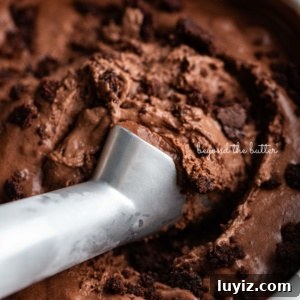 Decadent Chocolate Brownie Ice Cream Recipe & Serving Tips 14 Scooping chocolate brownie ice cream out of a round stainless steel container with a chilled ice cream scoop.