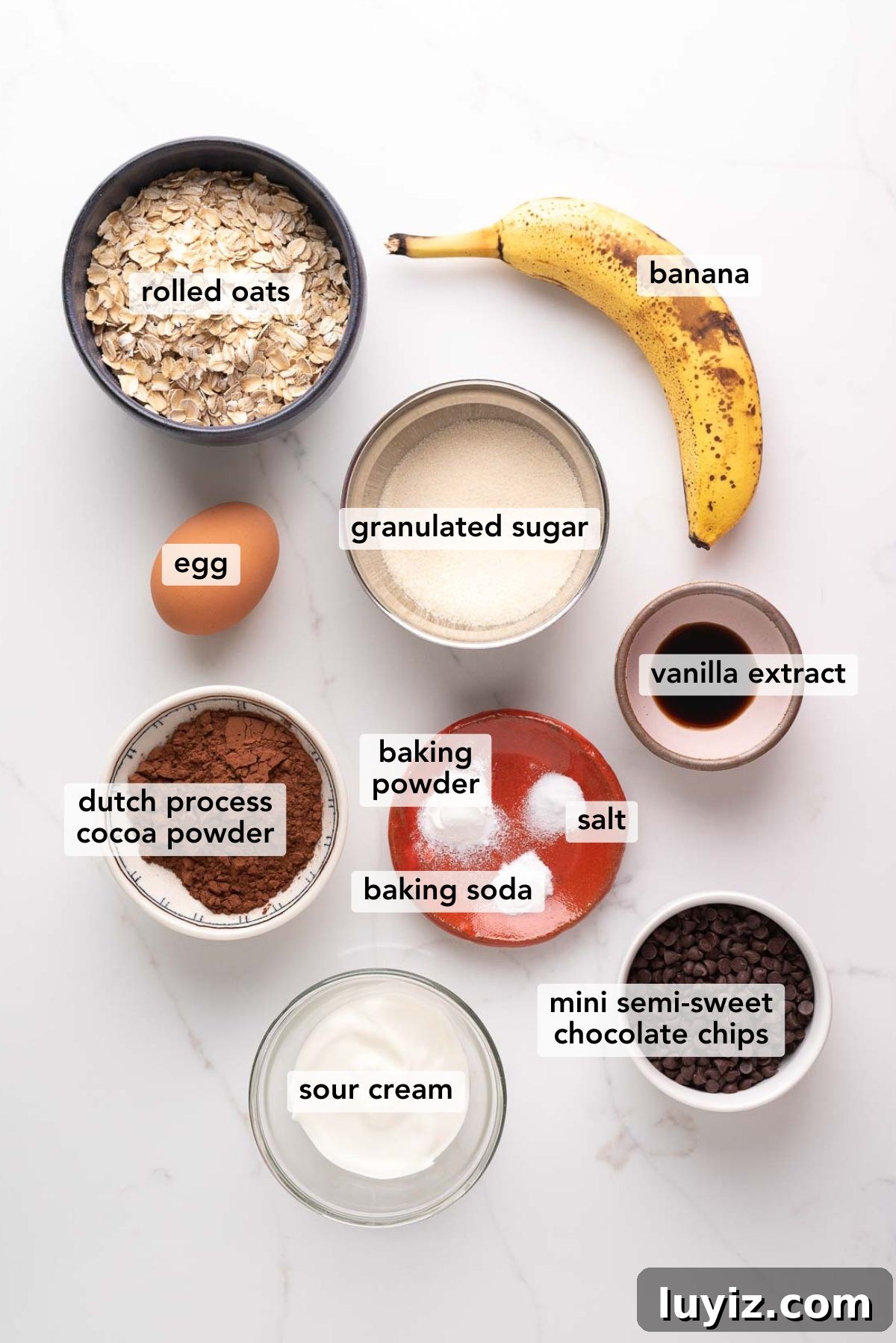 Mini Chocolate Banana Muffins: Quick Blender Recipe for Moist Bites 4 Ingredients in various size bowls labeled as rolled oats, banana, egg, granulated sugar, vanilla extract, dutch process cocoa powder, baking powder, salt, baking soda, mini semi-sweet chocolate chips, and sour cream on a white marbled background.