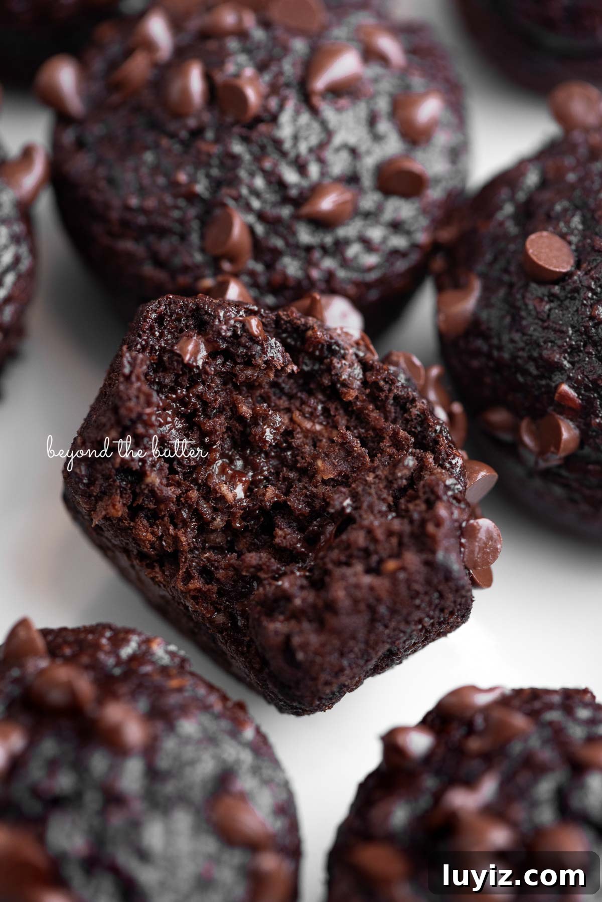 Mini Chocolate Banana Muffins: Quick Blender Recipe for Moist Bites 7 Mini chocolate banana oatmeal muffins topped with mini chocolate chips placed close together with a bit taken out of the center muffin on a white background.