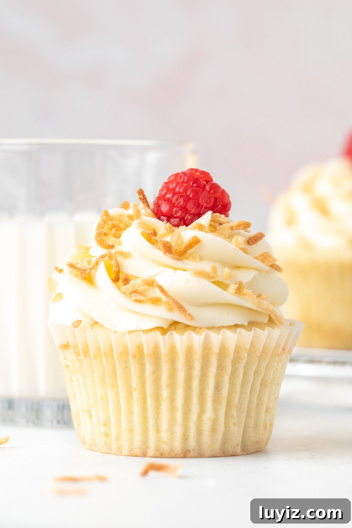 Coconut Cupcakes Recipe: Moist, Tropical Frosted Treats 2 Coconut cupcake with coconut frosting, decorated with toasted coconut and a raspberry
