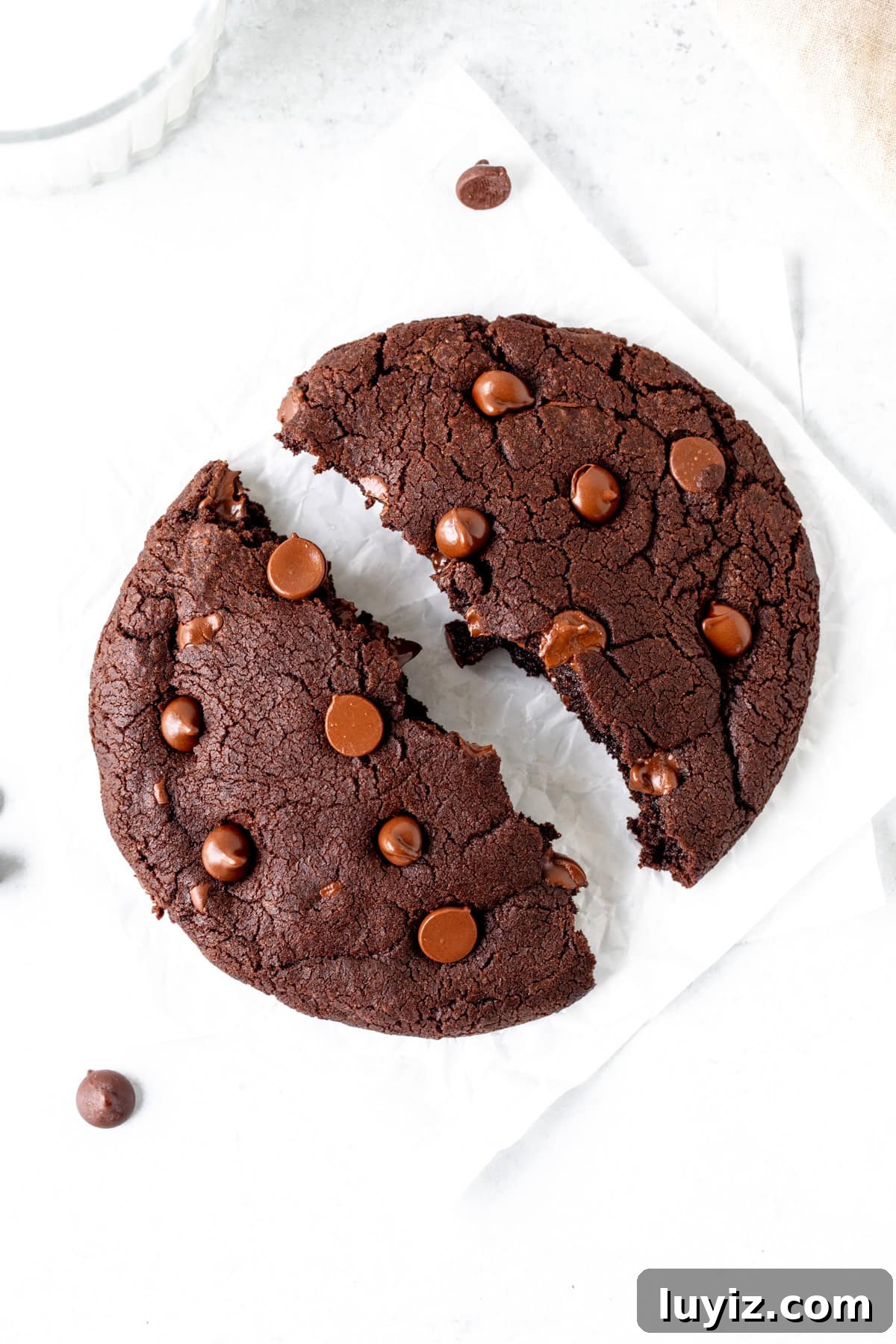 Single-Serve Chocolate Cookie Recipe for One (Quick & Gooey) 2 Single serving chocolate cookie, broken in half