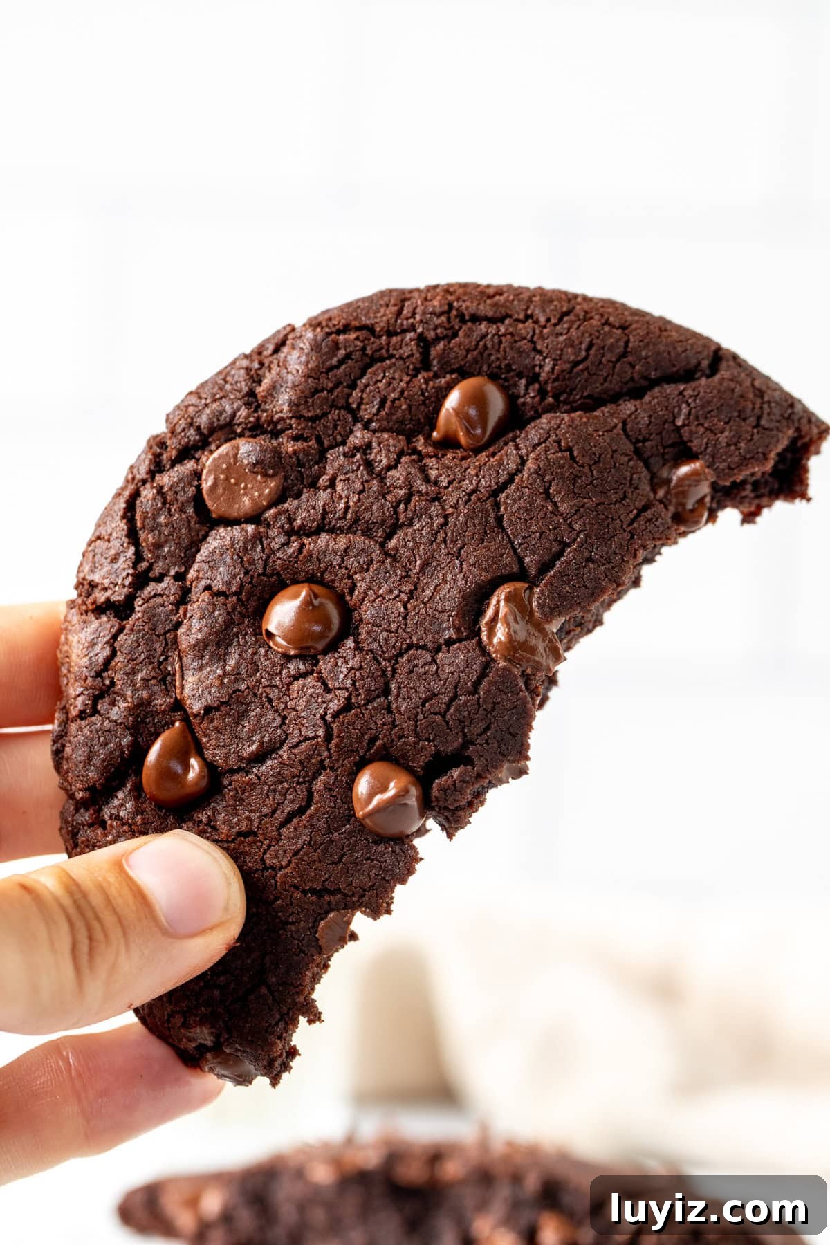 Single-Serve Chocolate Cookie Recipe for One (Quick & Gooey) 7 Piece of giant double chocolate cookie