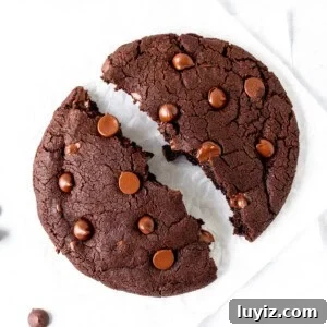 Single-Serve Chocolate Cookie Recipe for One (Quick & Gooey) 9 Single serving chocolate cookie, broken in half