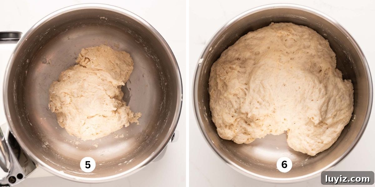 Classic French Bread Recipe for Crispy Crust and Soft Crumb 6 Two images of french bread dough rising in a stainless steel mixing bread bowl on a white marbled background.