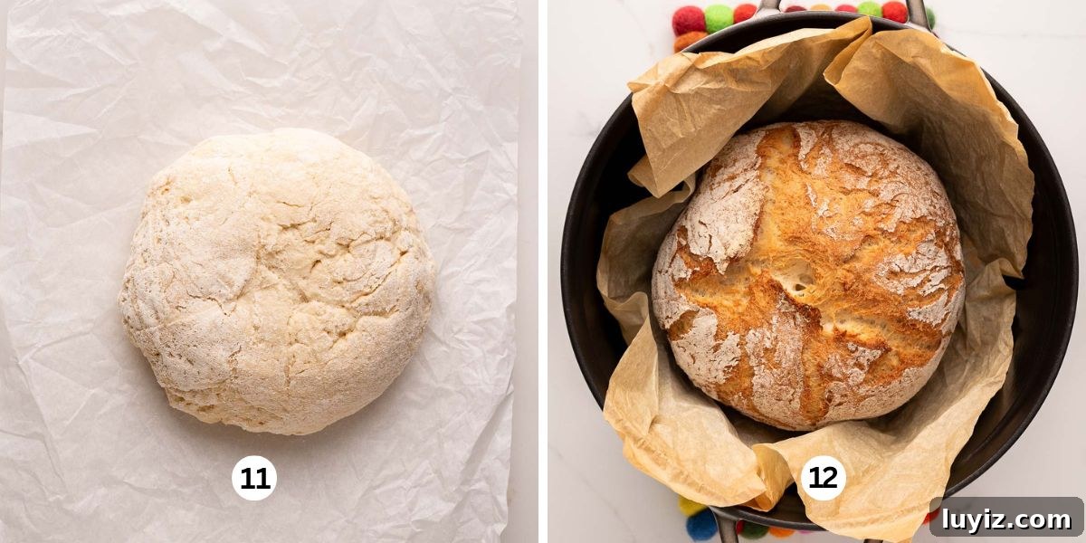 Classic French Bread Recipe for Crispy Crust and Soft Crumb 8 Two images showing the french bread pre-baked and placed on crumpled parchment paper ready to go into the heated dutch oven, with the second image showing just baked french bread in the gray dutch oven that's sitting on two felted hot pads.