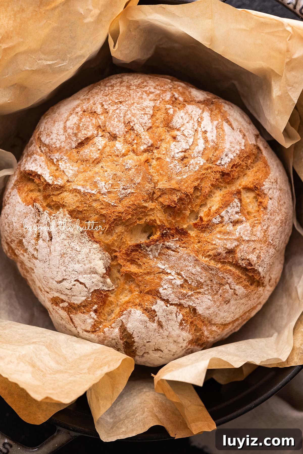 Classic French Bread Recipe for Crispy Crust and Soft Crumb 9 Round loaf of french bread inside a dark gray dutch oven lined with a sheet of brown parchment paper on a black background.