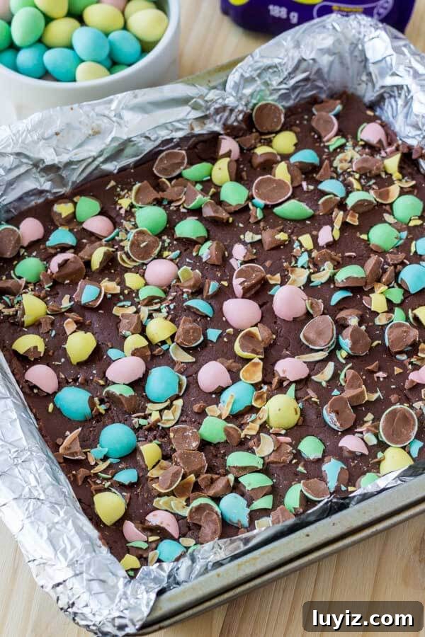 Decadent Easter Chocolate Fudge Recipe for Spring Dessert 3 Easter Chocolate Fudge - smooth, creamy & topped with mini eggs.