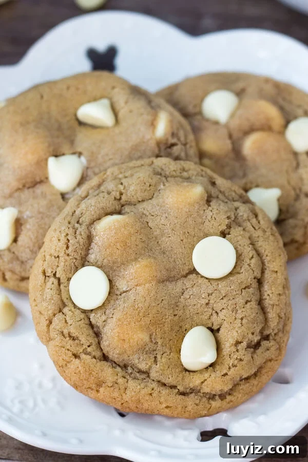 Peanut Butter White Chocolate Chip Cookies Recipe for Chewy Cookies 3 Plate of 3 peanut butter white chocolate chip cookies.