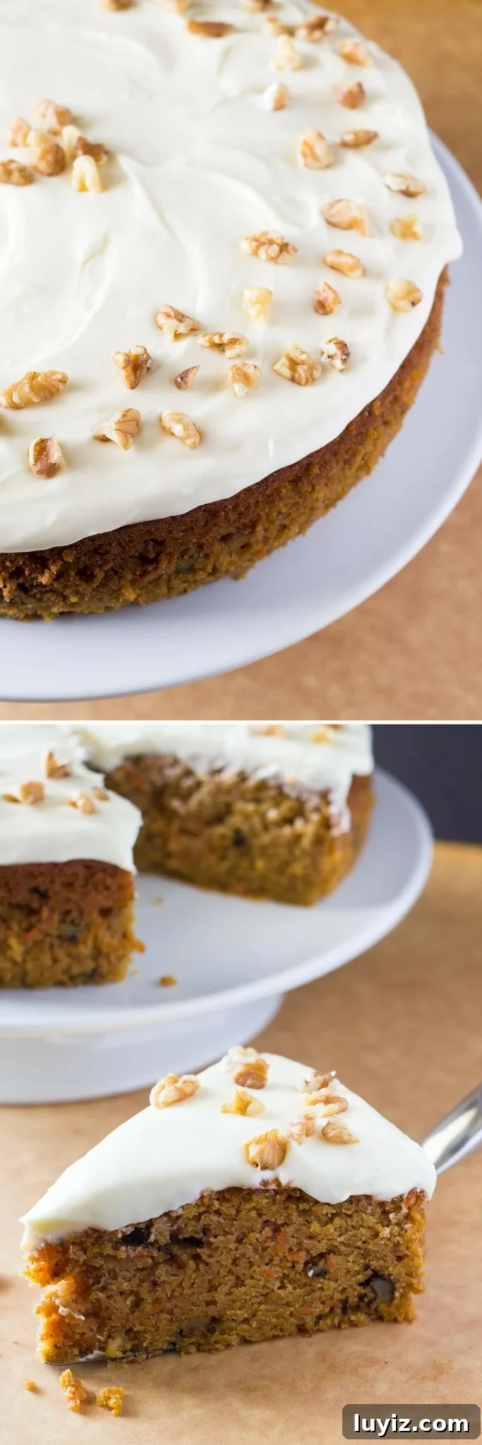 Moist Carrot Cake with Cream Cheese Frosting Recipe 3 The BEST carrot cake I've ever had. So moist, filled with spices, slathered with smooth & tangy cream cheese frosting, and just plain delicious.