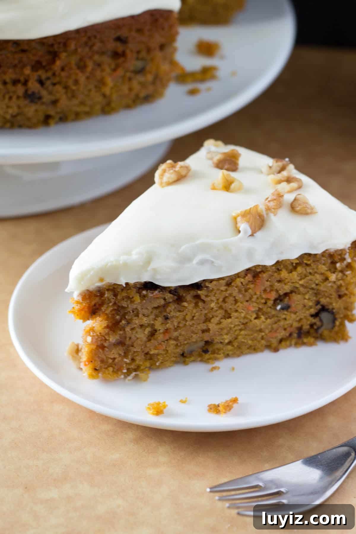 Moist Carrot Cake with Cream Cheese Frosting Recipe 4 The BEST carrot cake I've ever had. So moist, filled with spices, slathered with smooth & tangy cream cheese frosting, and just plain delicious.