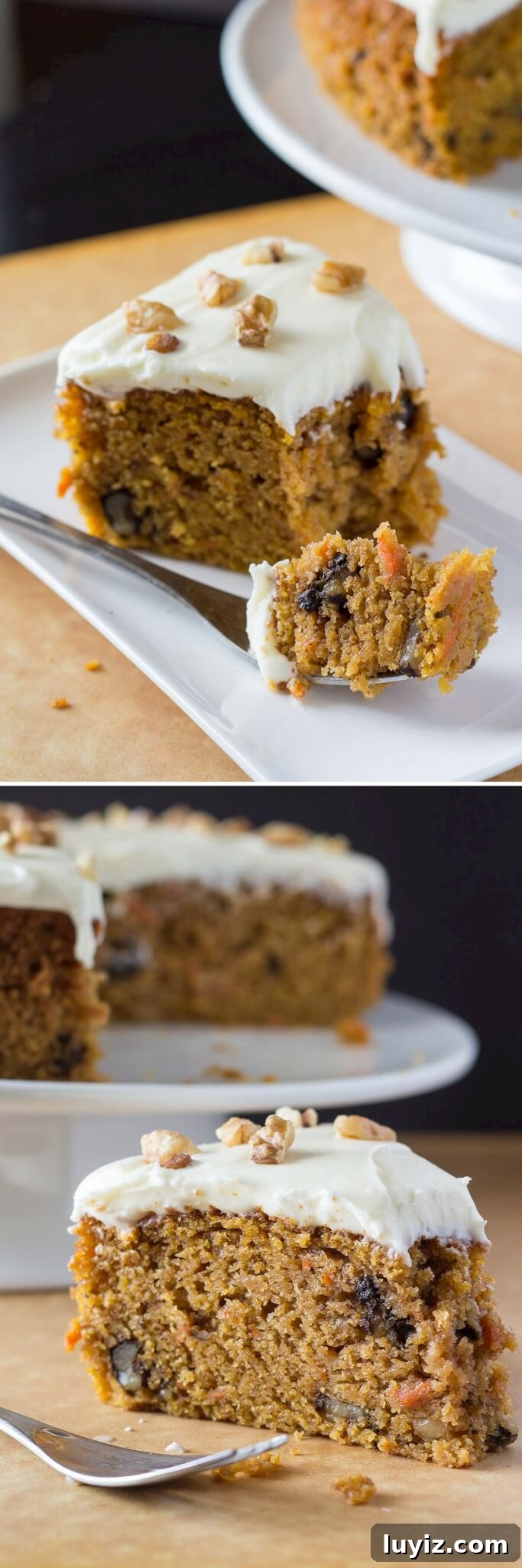 Moist Carrot Cake with Cream Cheese Frosting Recipe 5 The BEST carrot cake I've ever had. So moist, filled with spices, slathered with smooth & tangy cream cheese frosting, and just plain delicious.