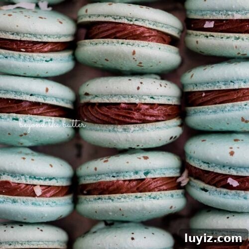 15 Delightful Easter Desserts to Impress Your Guests 6 Stacked robin's egg macarons with milk chocolate frosting and toasted coconut flakes.