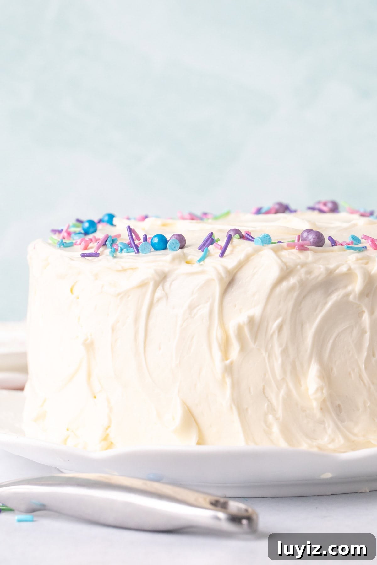 Swiss Meringue Buttercream Recipe: Smooth, Silky Frosting Guide 8 8-inch layer cake frosted with Swiss meringue buttercream frosting