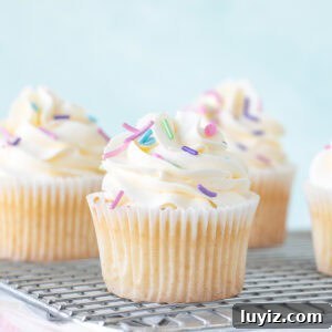 Swiss Meringue Buttercream Recipe: Smooth, Silky Frosting Guide 10 Vanilla cupcakes frosted with Swiss meringue buttercream frosting