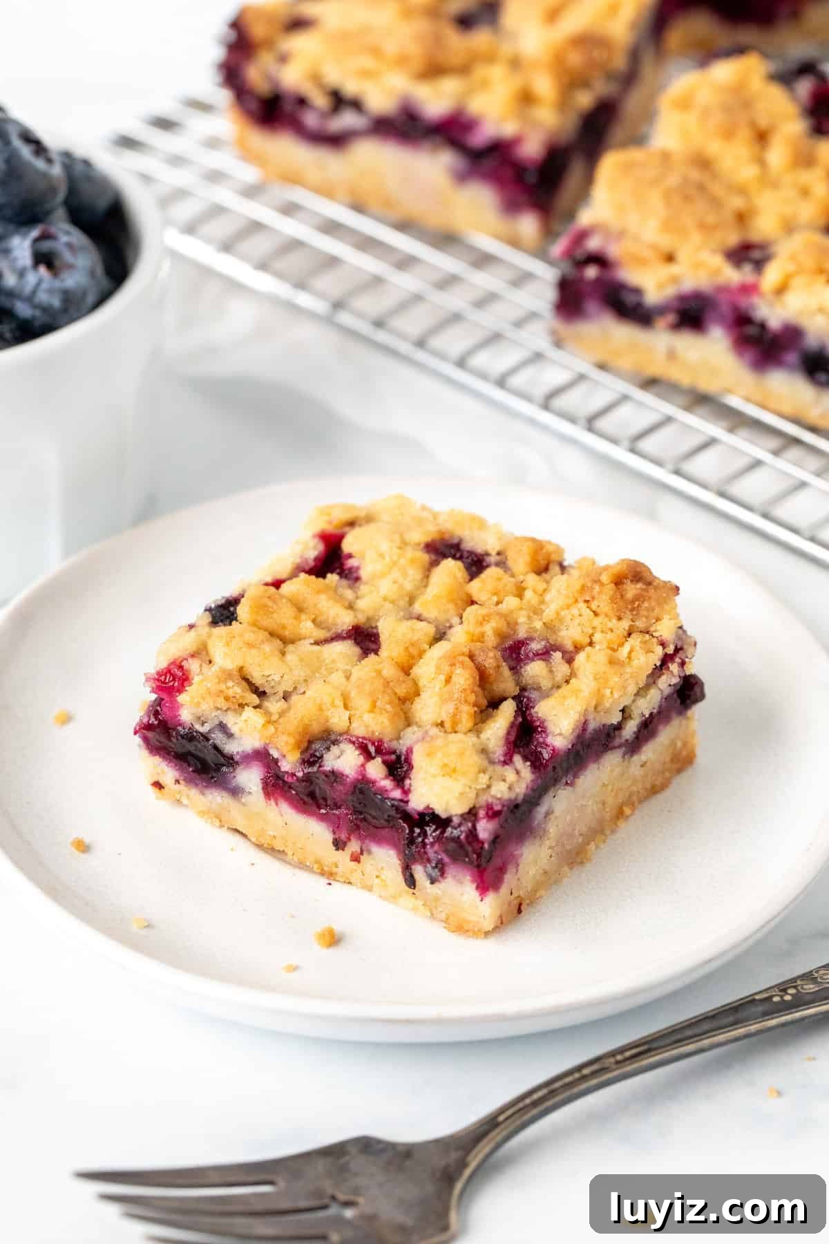 Blueberry Crumble Bars Recipe — Homemade Fruit Dessert Bars 3 Blueberry crumb bars on a plate